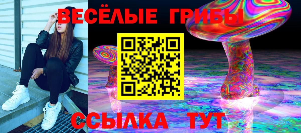 Псилоцибиновые грибы Psilocybe  Галлюциногенные грибы Cubensis  Вход с VPN  Краснознаменск 